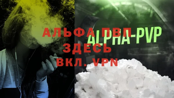 гидра Богданович