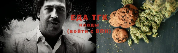 гидра Богданович