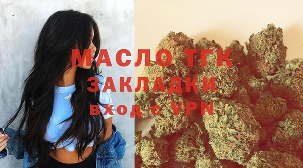гидра Богданович