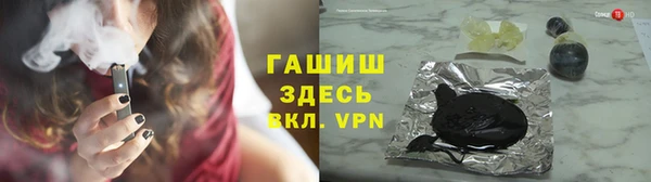 гидра Богданович