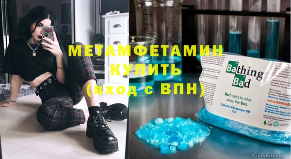гидра Богданович