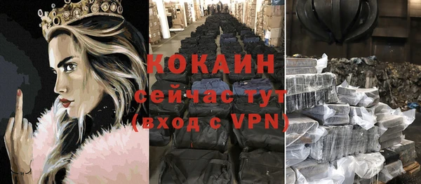 гидра Богданович