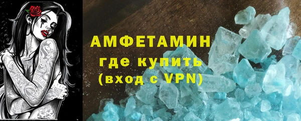 гидра Богданович
